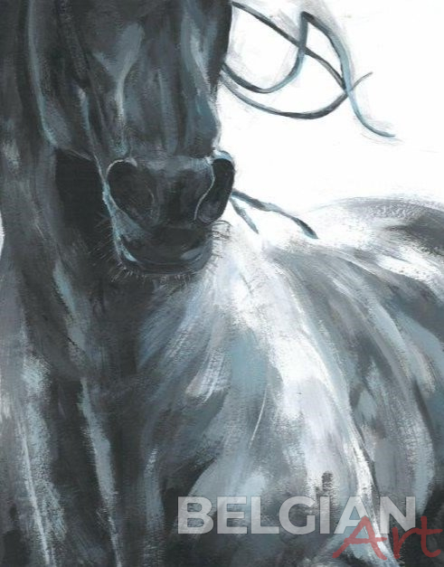 Paard
