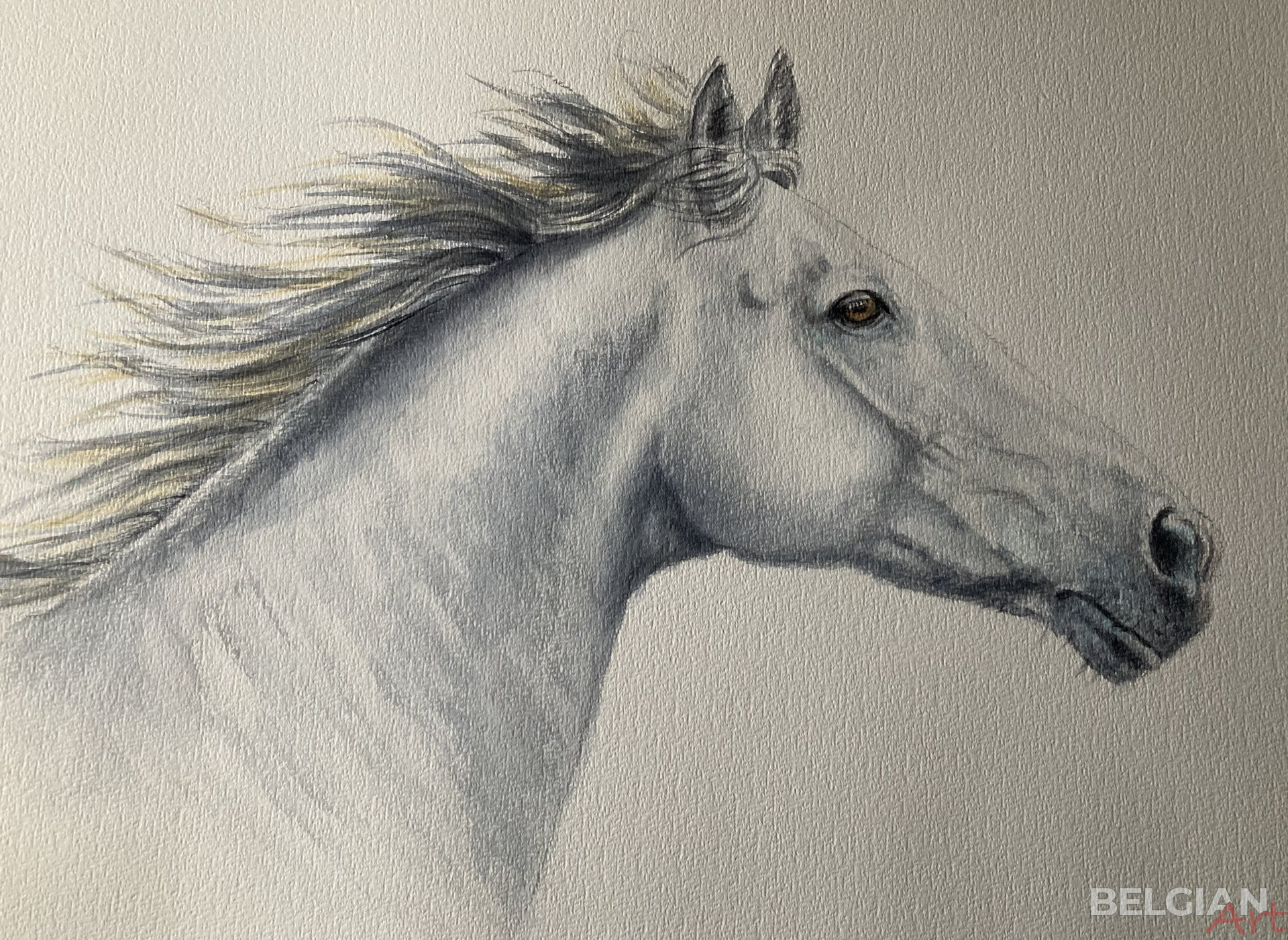 horse head white