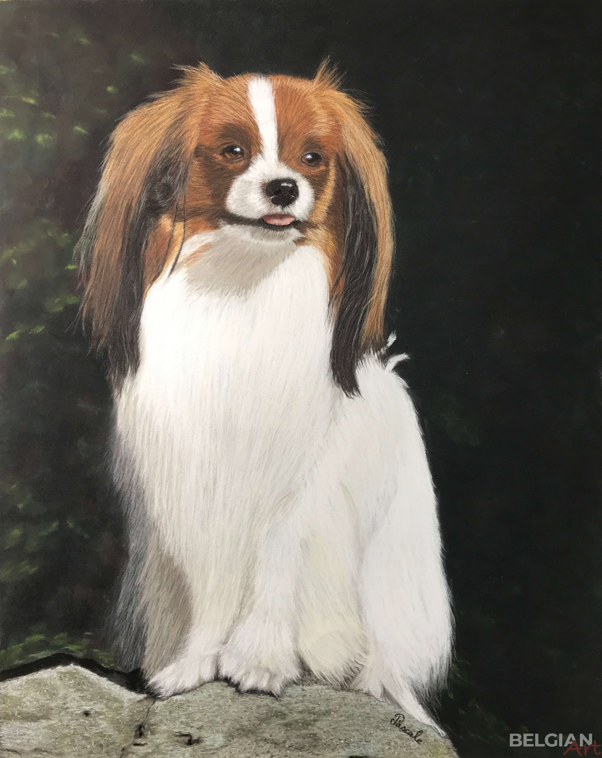 Portrait of a Continental Toy Spaniel