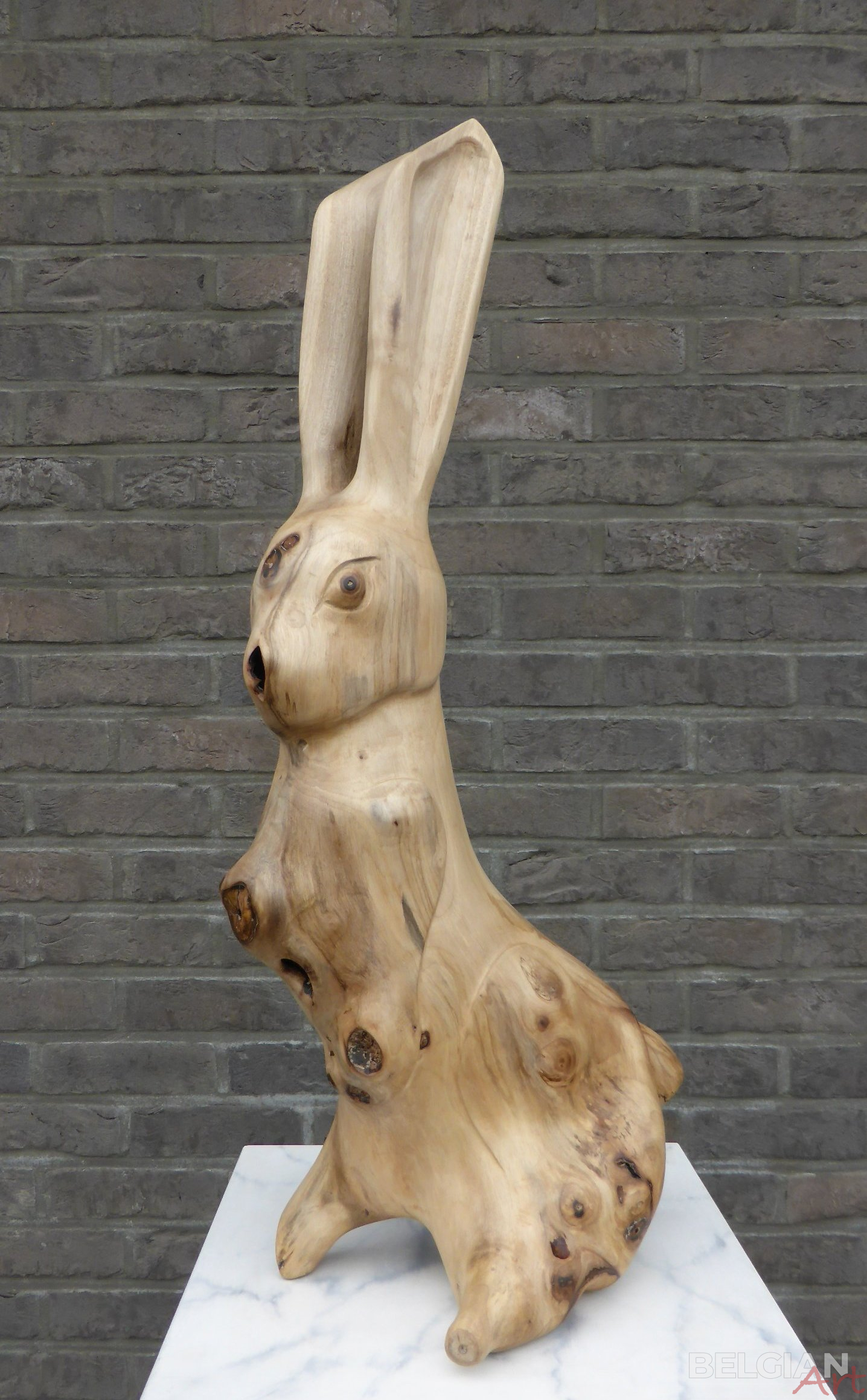 HARE