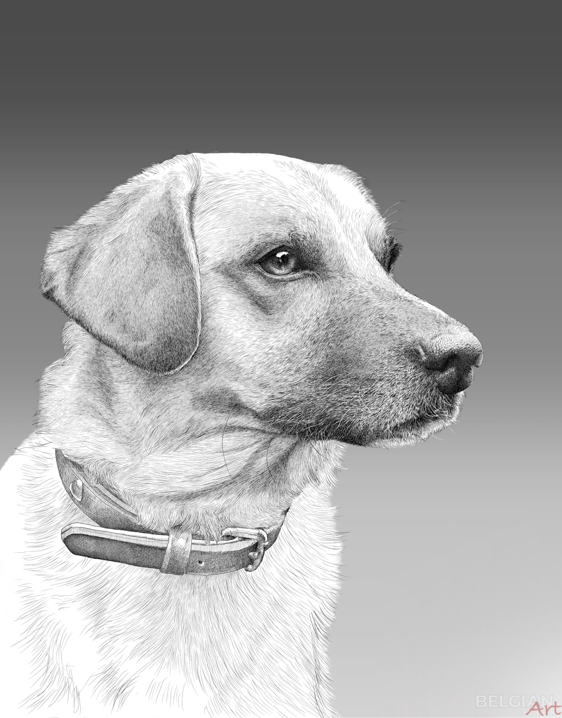 Basil