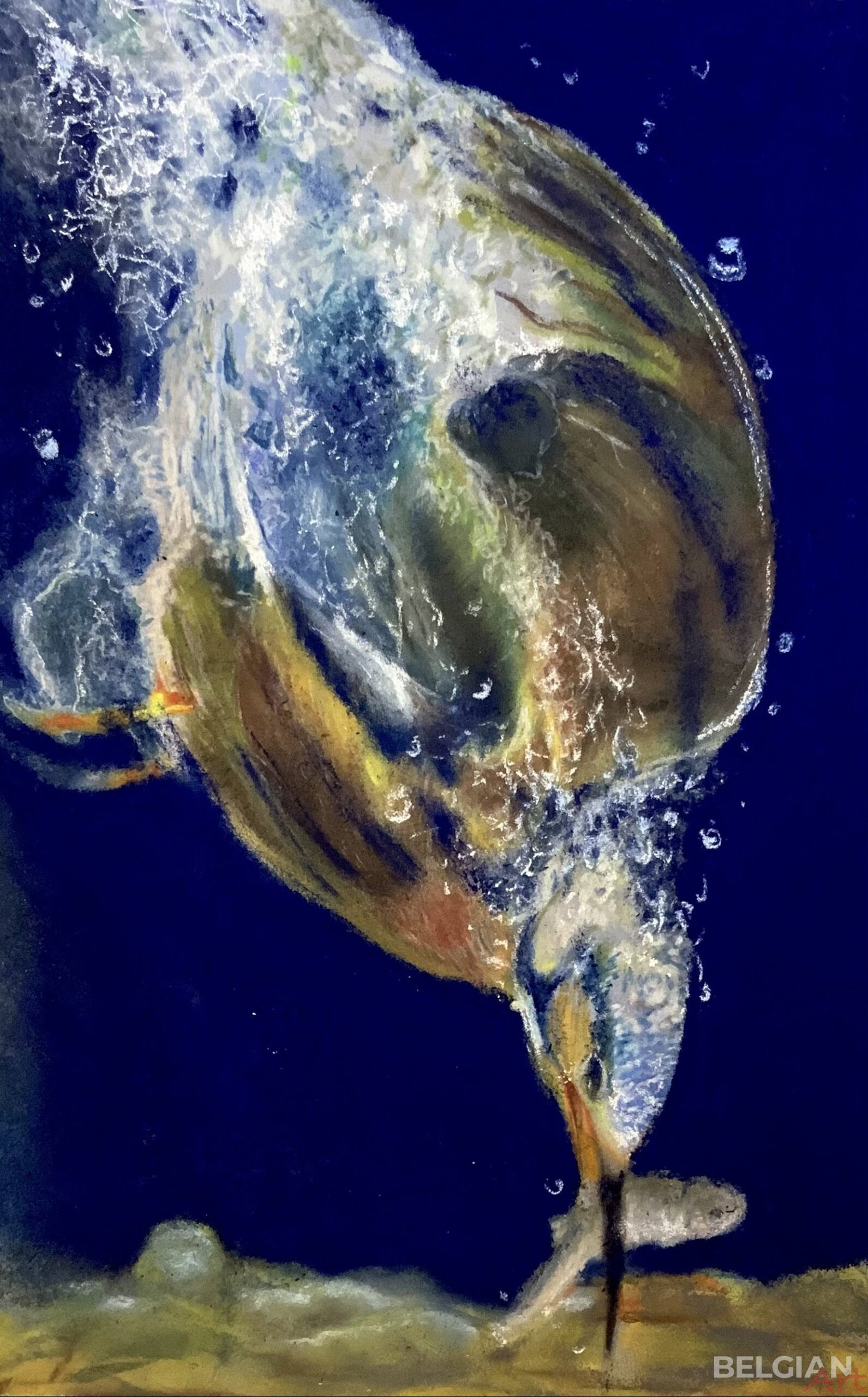 Le plongeon du Martin-Pêcheur