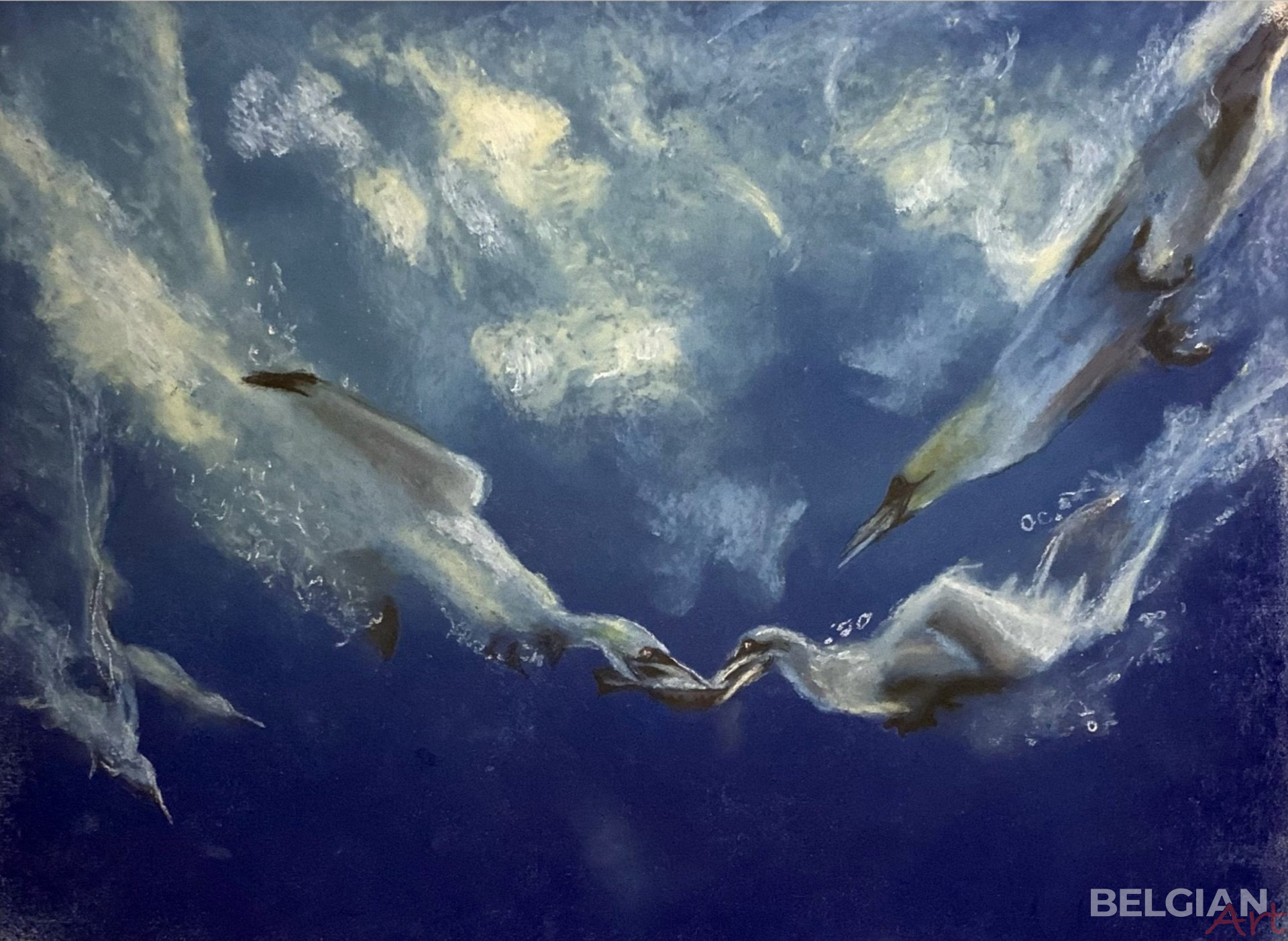 Les Cormorans