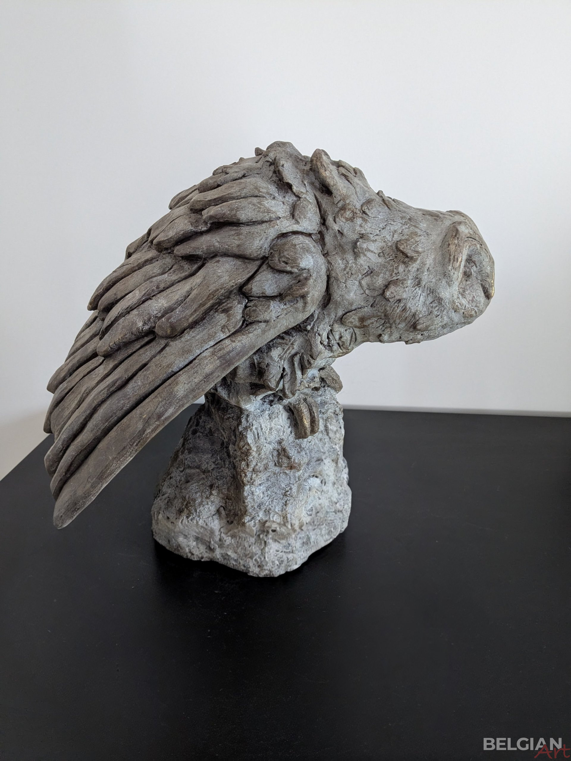 Effraie des Clochers - Onyx