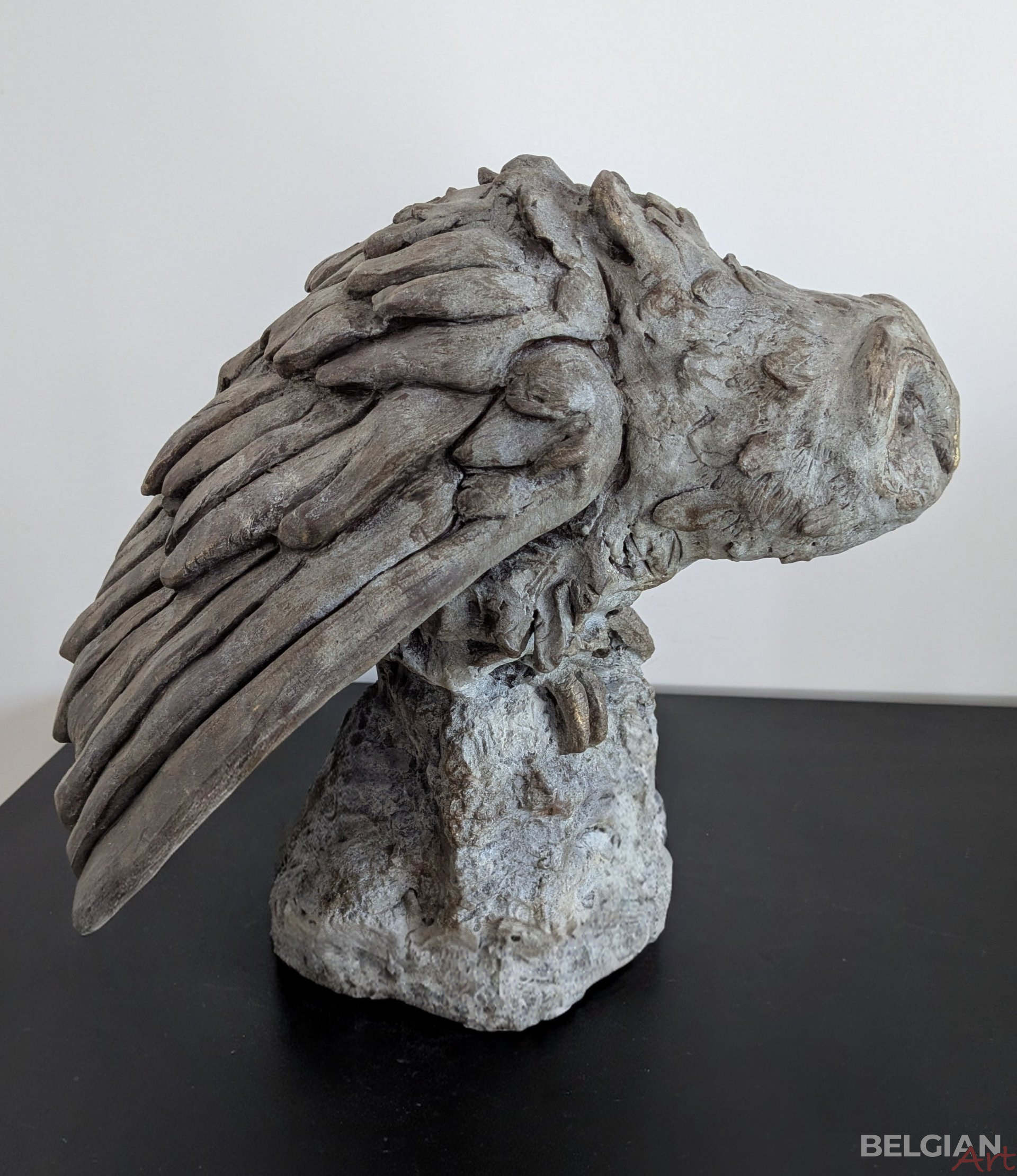 Effraie des Clochers - Onyx