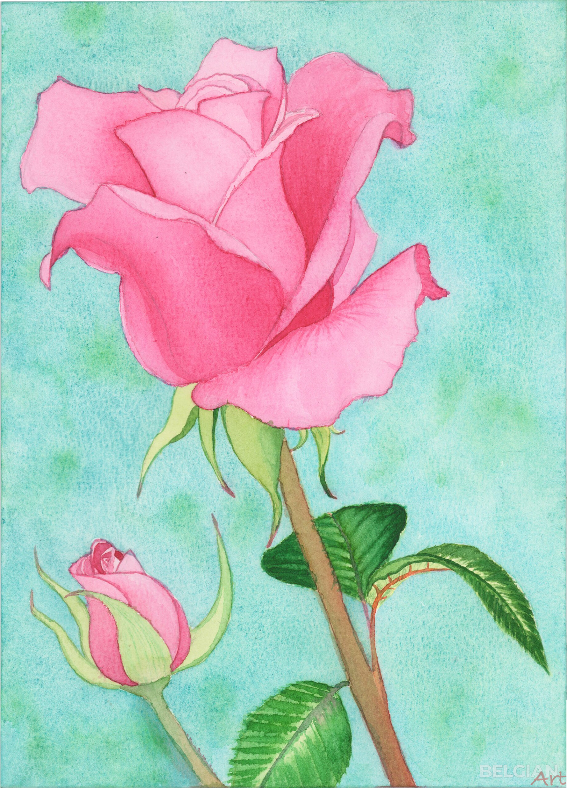 Dreamy Rose