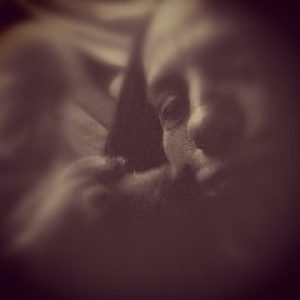 avatar_65b1086e7a6045-41143522-43015485