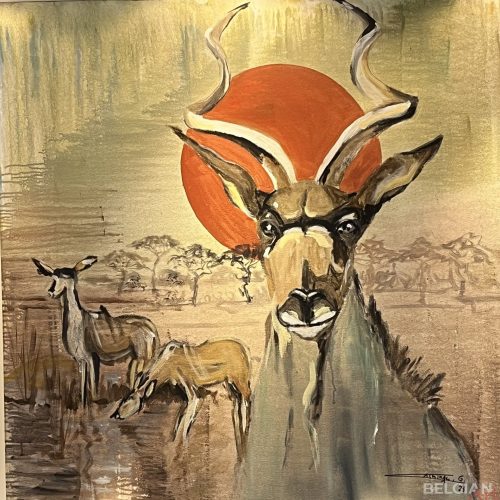 img_1920x_6769330a8e3b05-27914477-57166850