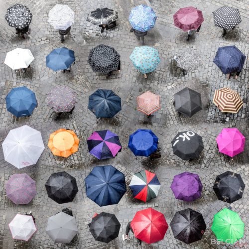 img_1920x_umbrellas-brussel-belgique-80x80cm-1527_werner-roelandt_632cdb4c3353b2-23657089-15243458